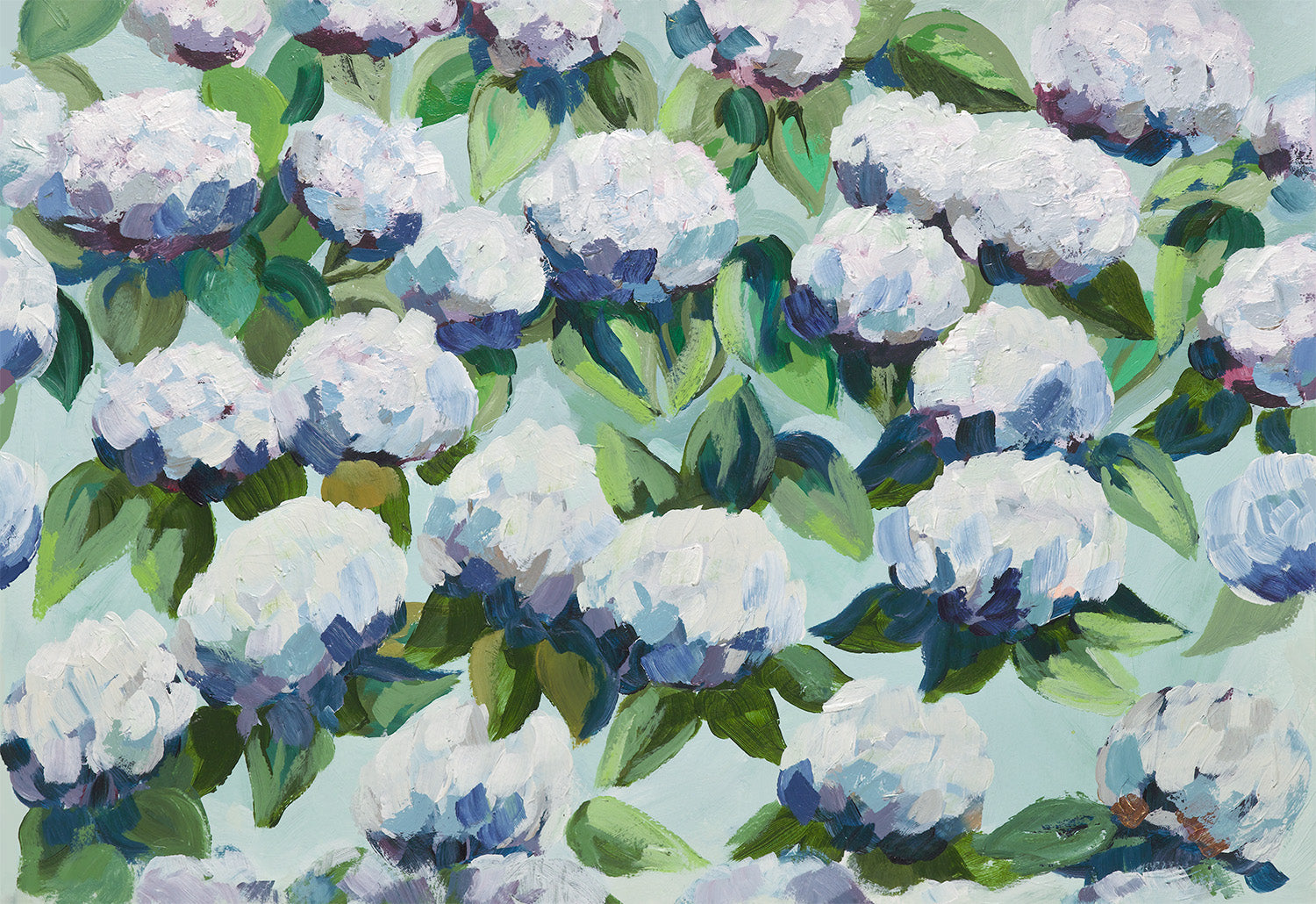 Kim Hovell | Hydrangea Collection