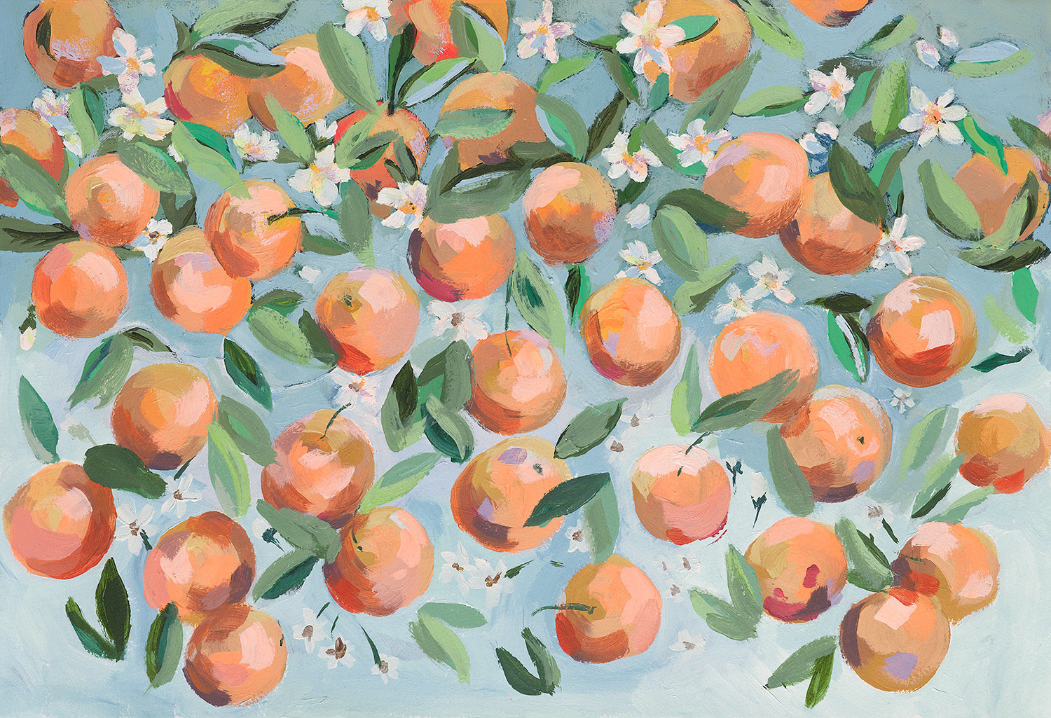 Kim Hovell | Orange Blossom Collection