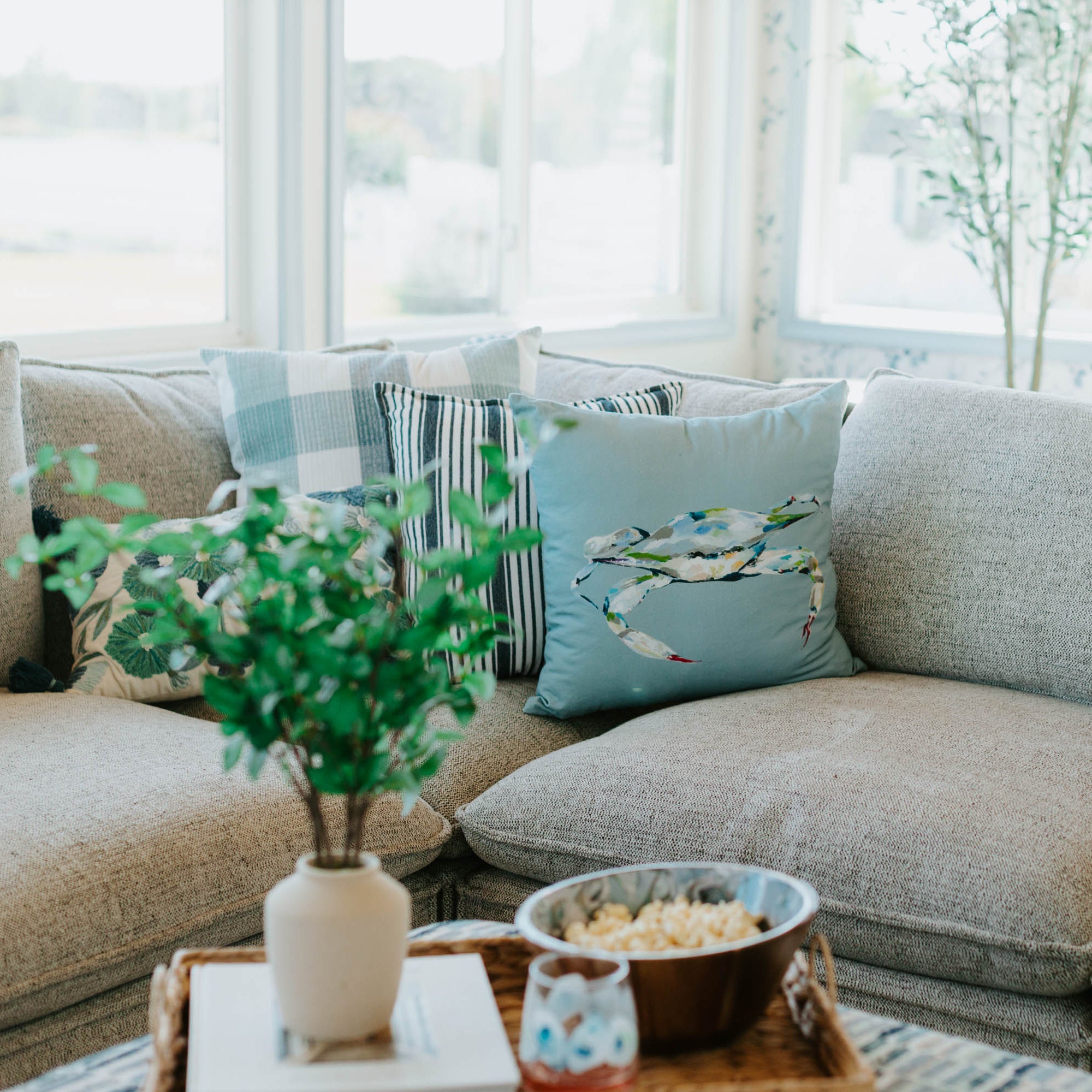 Gray sectional sofa with decorative pillows and a plant in a sunlit room.