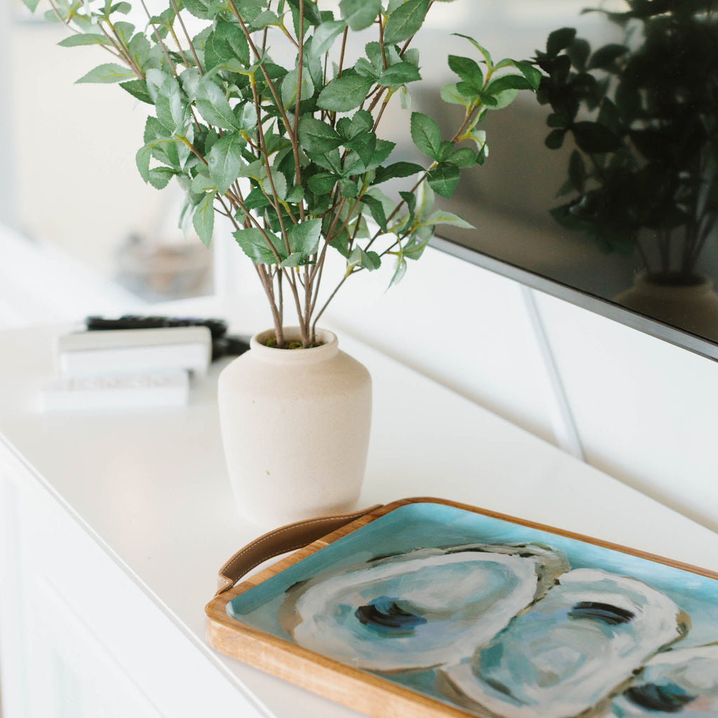 Potted plant on a white surface with a decorative tray featuring abstract designs.